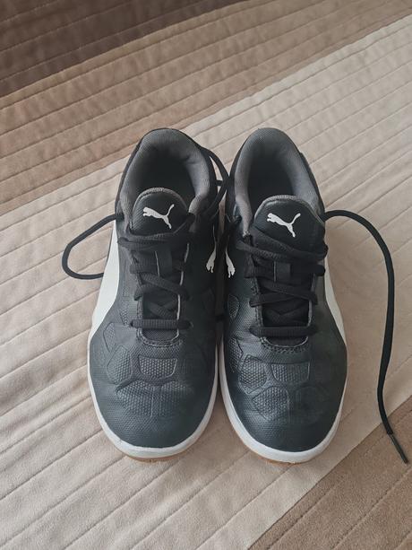 Halovky puma, puma,35