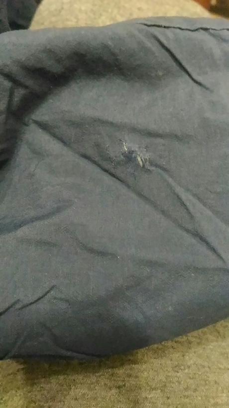 Zimná vetrovka, bhs,98