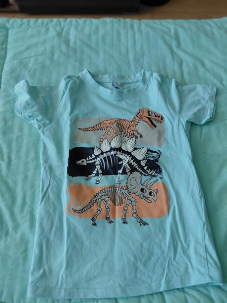 Tričko-dinosaury v., takko,122