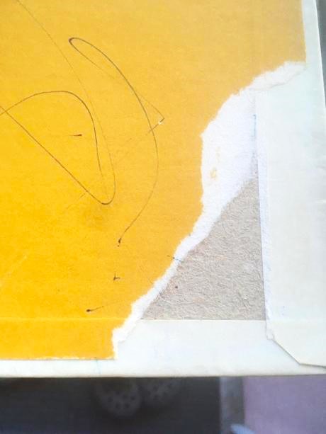 Smelý zajko v afrike,