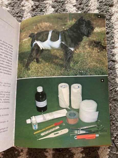 Náš pes je chorý (1999),