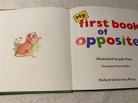 Rusko anglicka detská knižka opposites protivopolo,