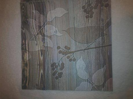 Vela servitok rôznych, 