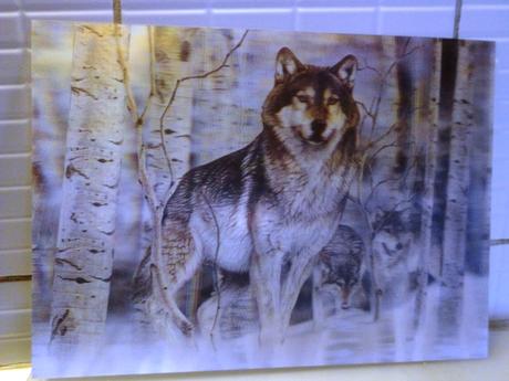 Pohyblivé obrazy 3d, 