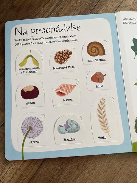 2x obrazkova kniha svojtka, 