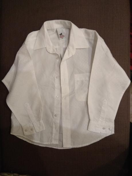 122 snehobiela kosela, palomino,122