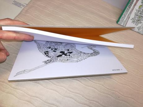 Colour yourself to inner peace nsu18, 