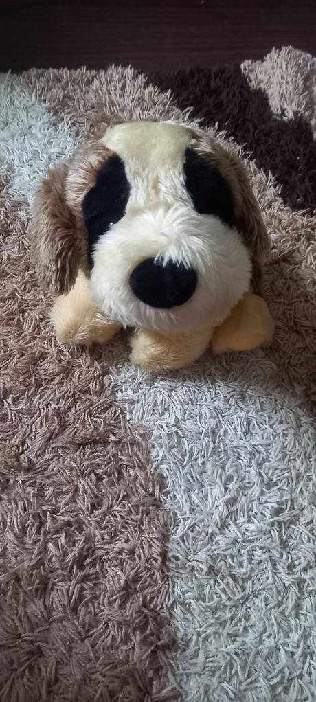 Psík bernardin 30 cm, 