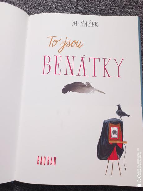 To jsou benátky, miroslav šašek. cz,