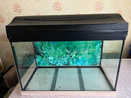 Akvárium so skrinkou- 60 l (57 x 30 x 35 cm), 