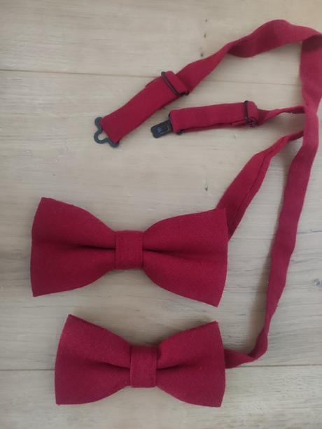 Elegantné motýliky otec syn, 