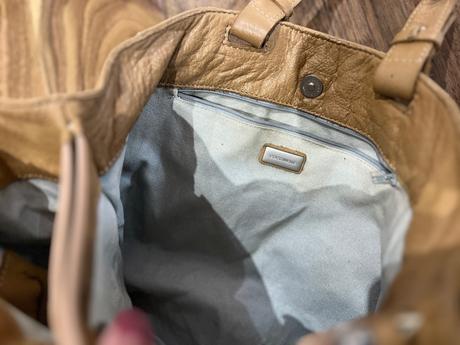 Coccinelle, coccinelle