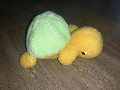 Korytnačka s 3 bábätkami, 