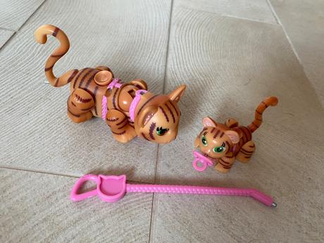 Pet parade, tigríky,