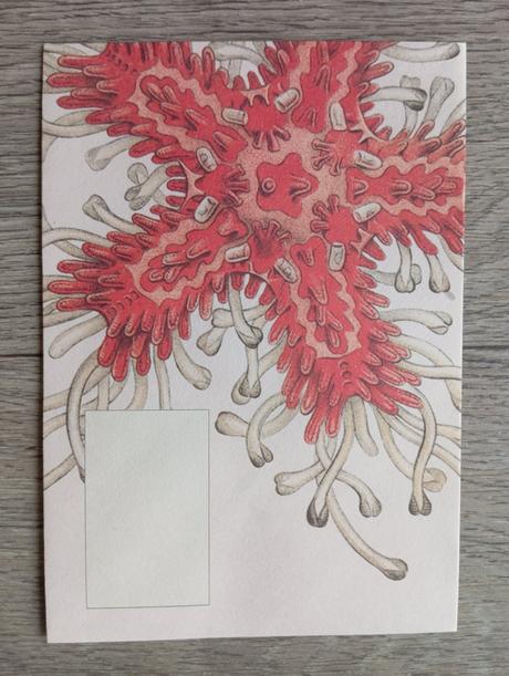 Gratulačné obálky narodeniny svadba,