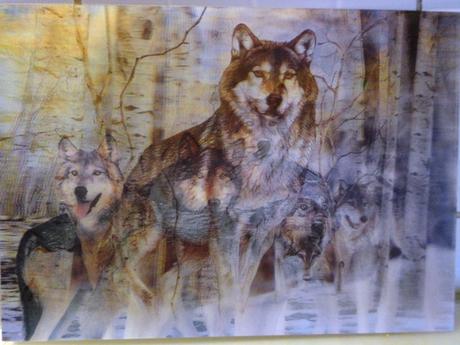 Pohyblivé obrazy 3d, 