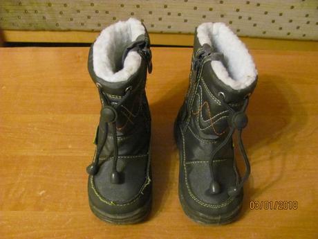 Snehule veľ. 24, 24