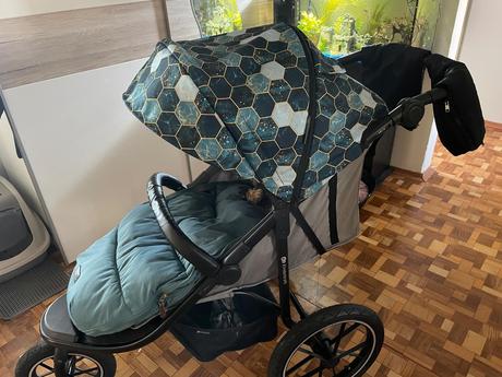 Strecha kindekraft helsi, 