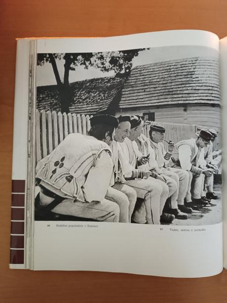 Drevené stavby na slovensku (1971),