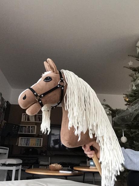 Hobby horse,