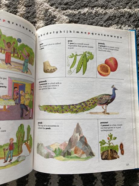 Children's first dictionary (1990), 