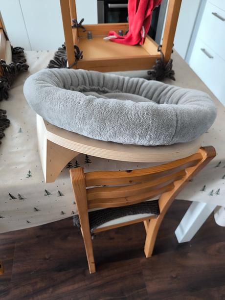 Pelech na stenu pre mačky,