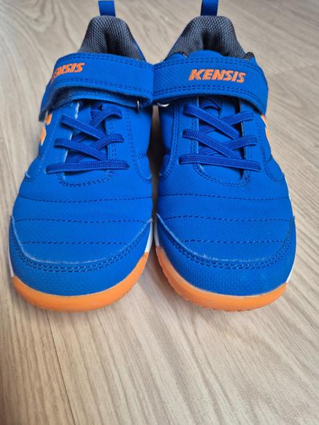 Halovky kensis, 34