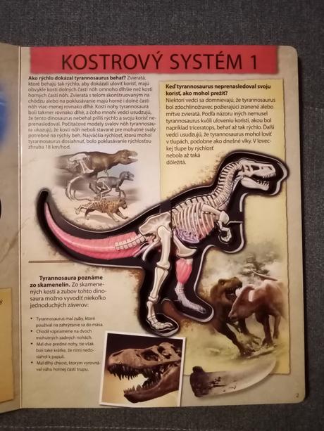Pozrite sa do útrob dinosaura tyrannosaura,