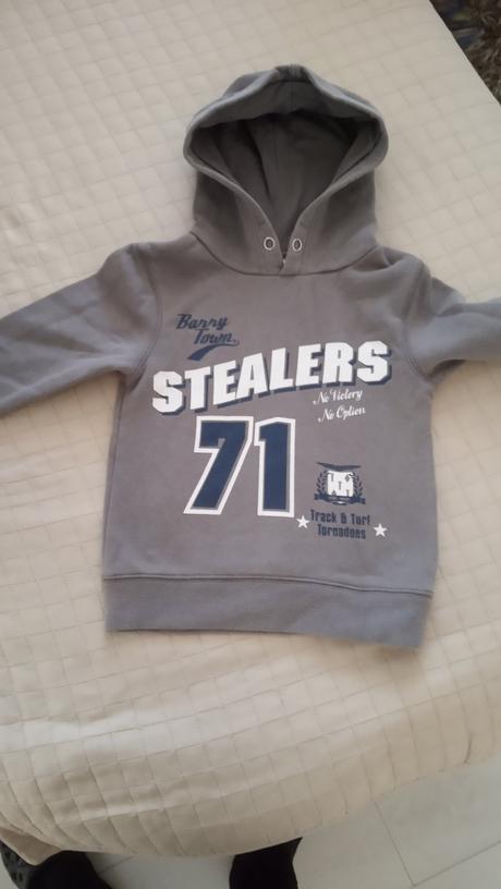 Mikinka, palomino,104