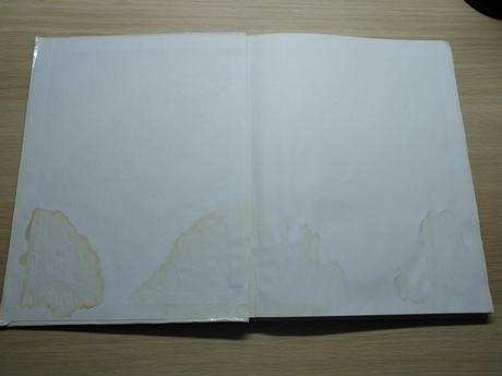 Maďarska rozpravkova kniha, 