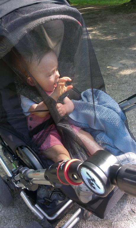 Kvalitný kočík hartan topline x vhodný do terénu, hartan,hartan topline x