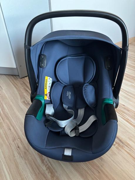 Kočik, joolz,joolz day+