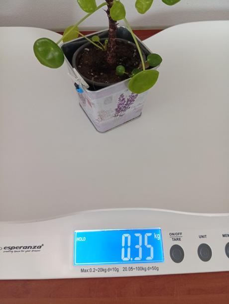 Novorodenecká váha, 