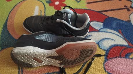 Veľ.31 halovky kensis, 31