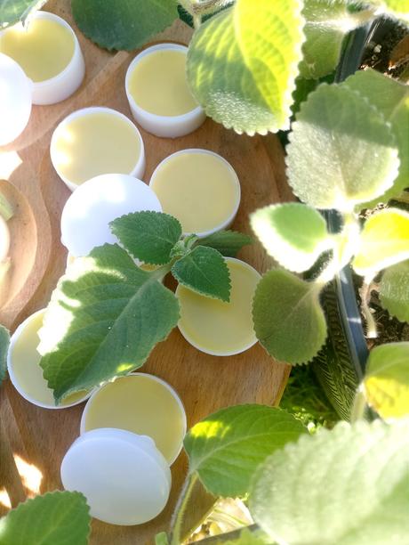 Masť z nádchovnika/rýmovnika,