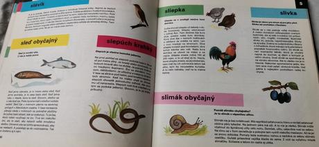 Detská encyklopédia, 
