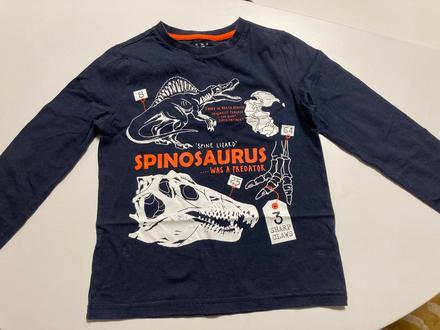 Tričko s dinosaurami, f&f,116