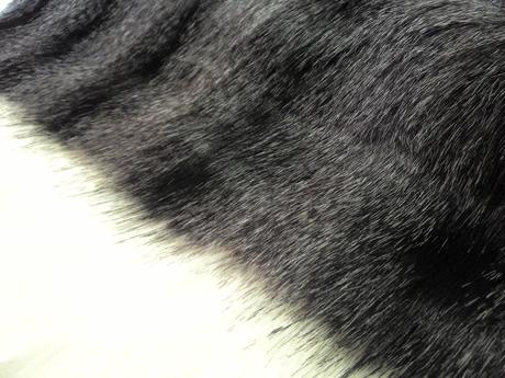 Kožušina sivo čierna - cena za 10 cm, 