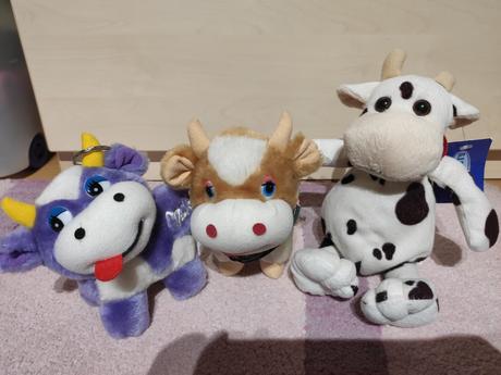 Kravička čiernobiela, 