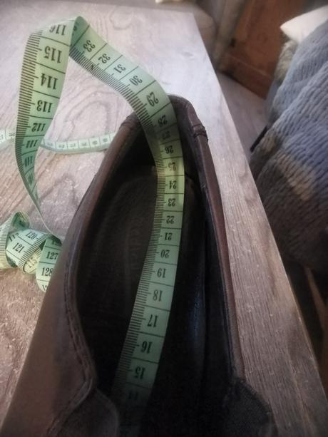 Poltopanky medicus, 37