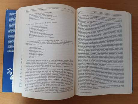 Dejiny slovenskej literatúry 1984,