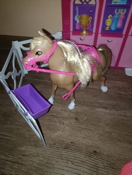 Menší koník s ohradou, 