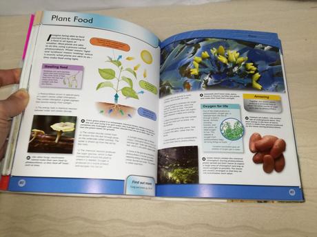 Encyclopedia of life sp20, 