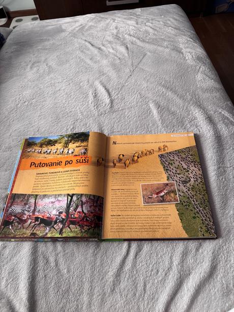 Zvieratá na cestach, 