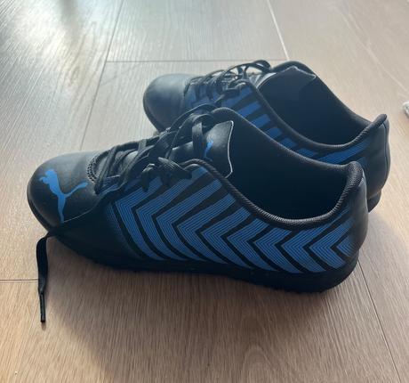 Halovky puma, puma,36