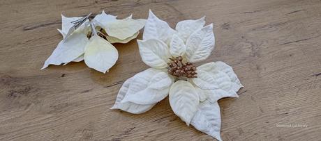 Vianočná ruža - smotanovo zlatá na štipci - 230 mm, 