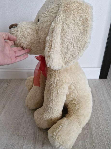 Veľký plyšový pes, 