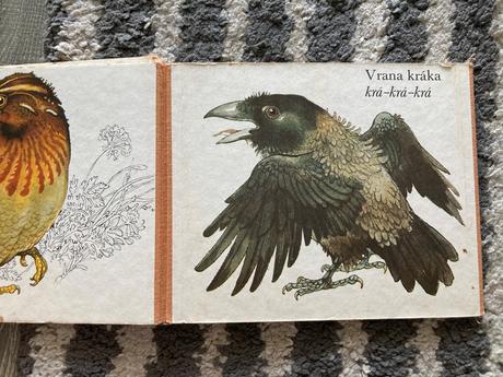 Medzi vtákmi leporelo (1987), 