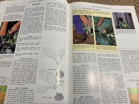 Biozáhrada pre radosť a zdravie geoff hamilton,