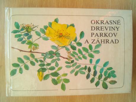 Okrasné dreviny parkov a záhrad,